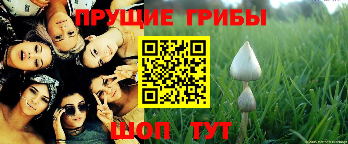 Псилоцибиновые грибы GOLDEN TEACHER  где купить наркоту  Сызрань  Вход с VPN 